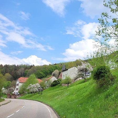 Family House Appartement Eberbach  Buitenkant foto