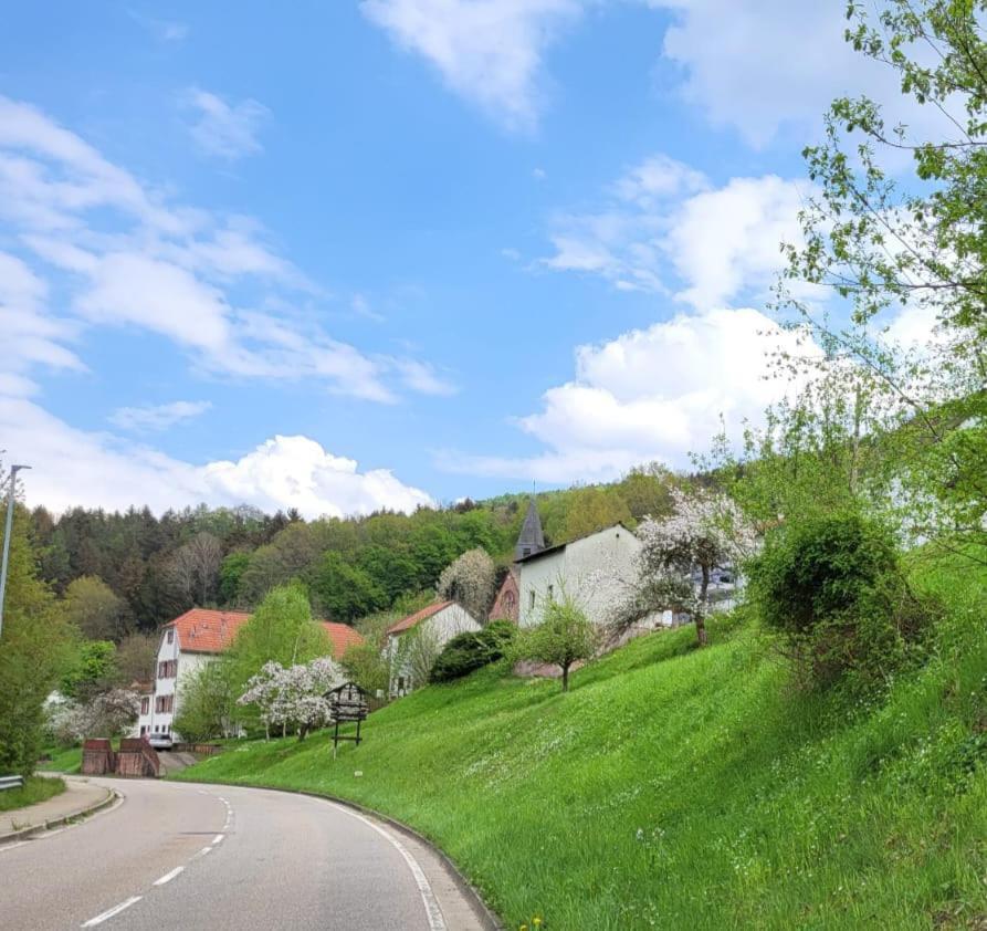Family House Appartement Eberbach  Buitenkant foto