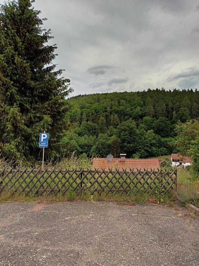 Family House Appartement Eberbach  Buitenkant foto