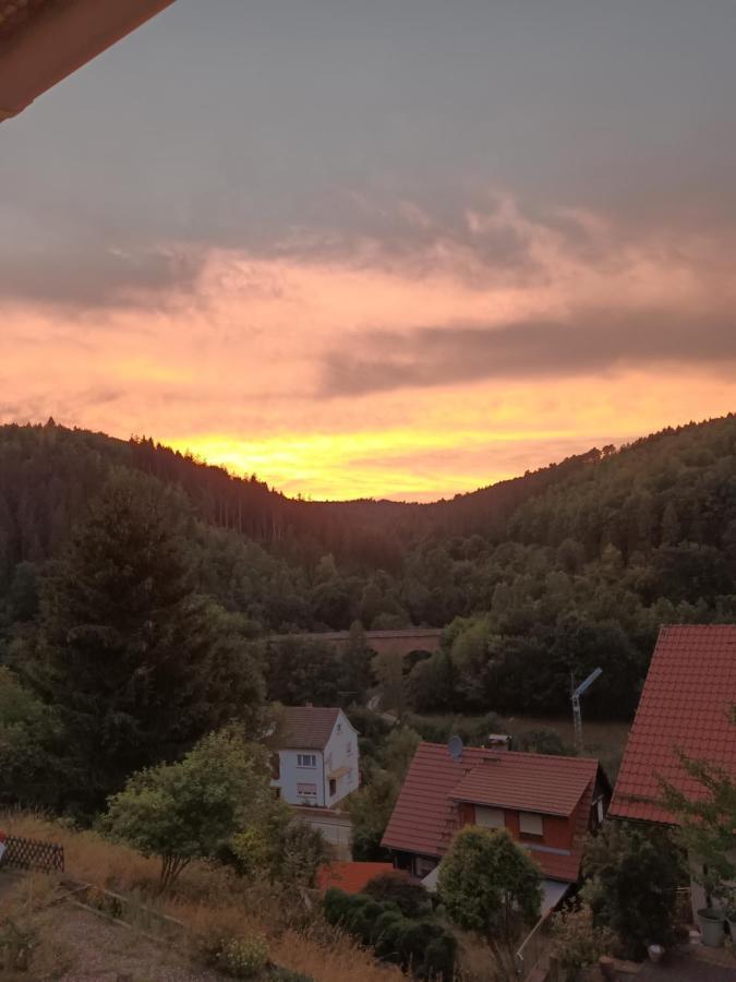 Family House Appartement Eberbach  Buitenkant foto